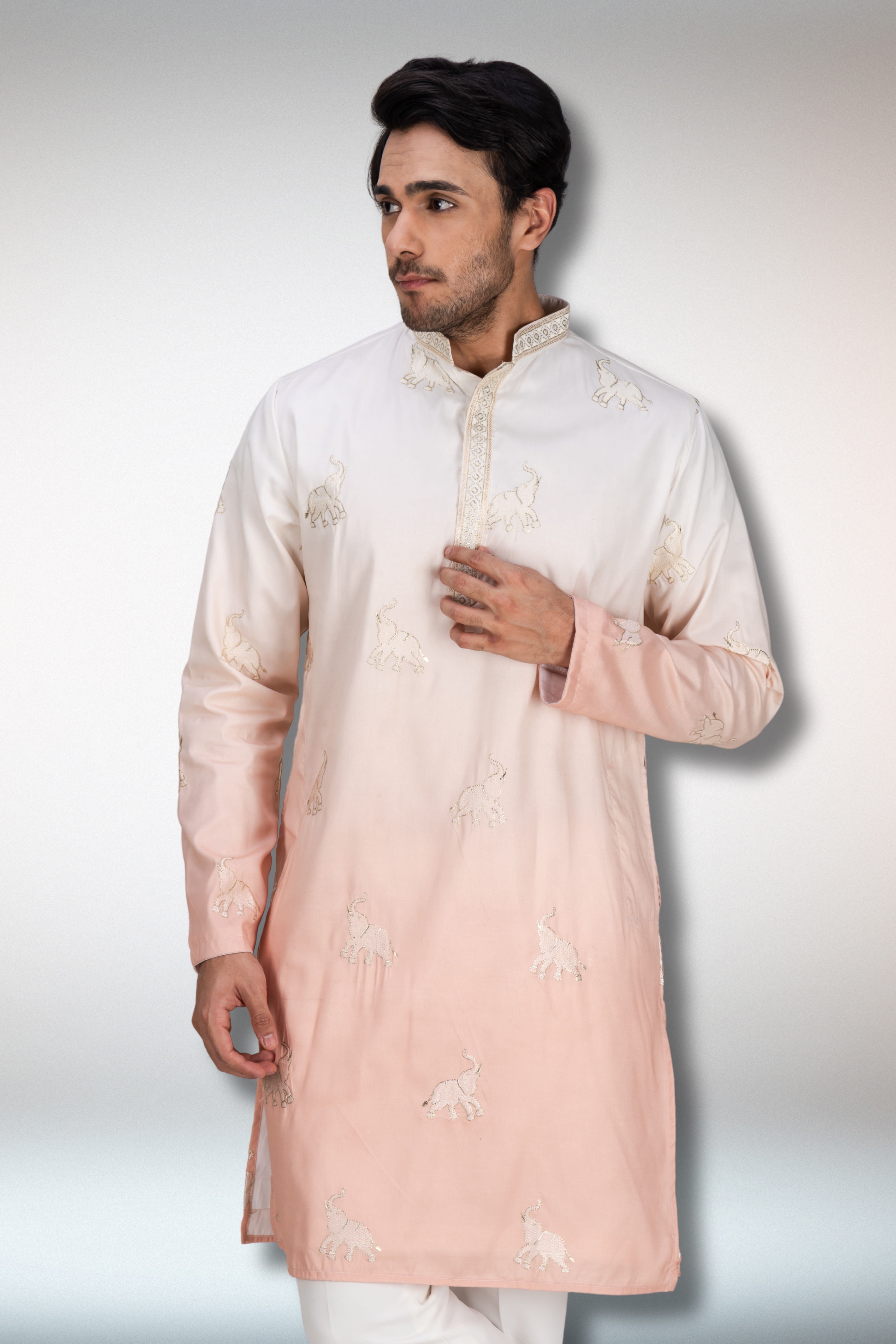 Ombre Elephant patch work kurta