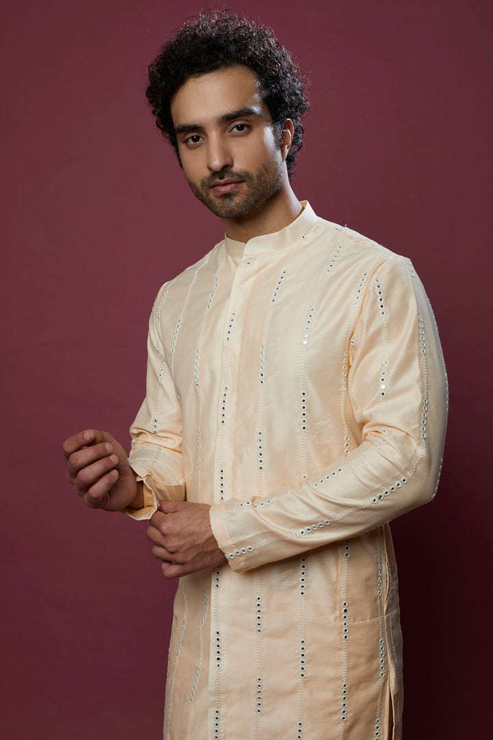 Abees Beige cotton silk mirrorwork kurta set - back view