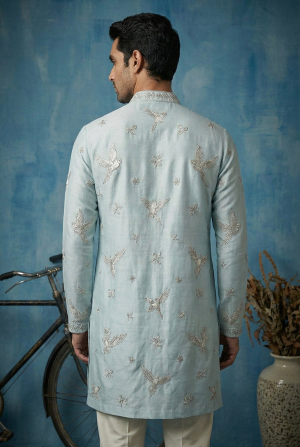 Abees Blue embroidered heritage kurta set - back view