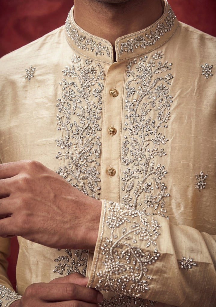 Abees Beige gold embroidered kurta set with dhoti - back view
